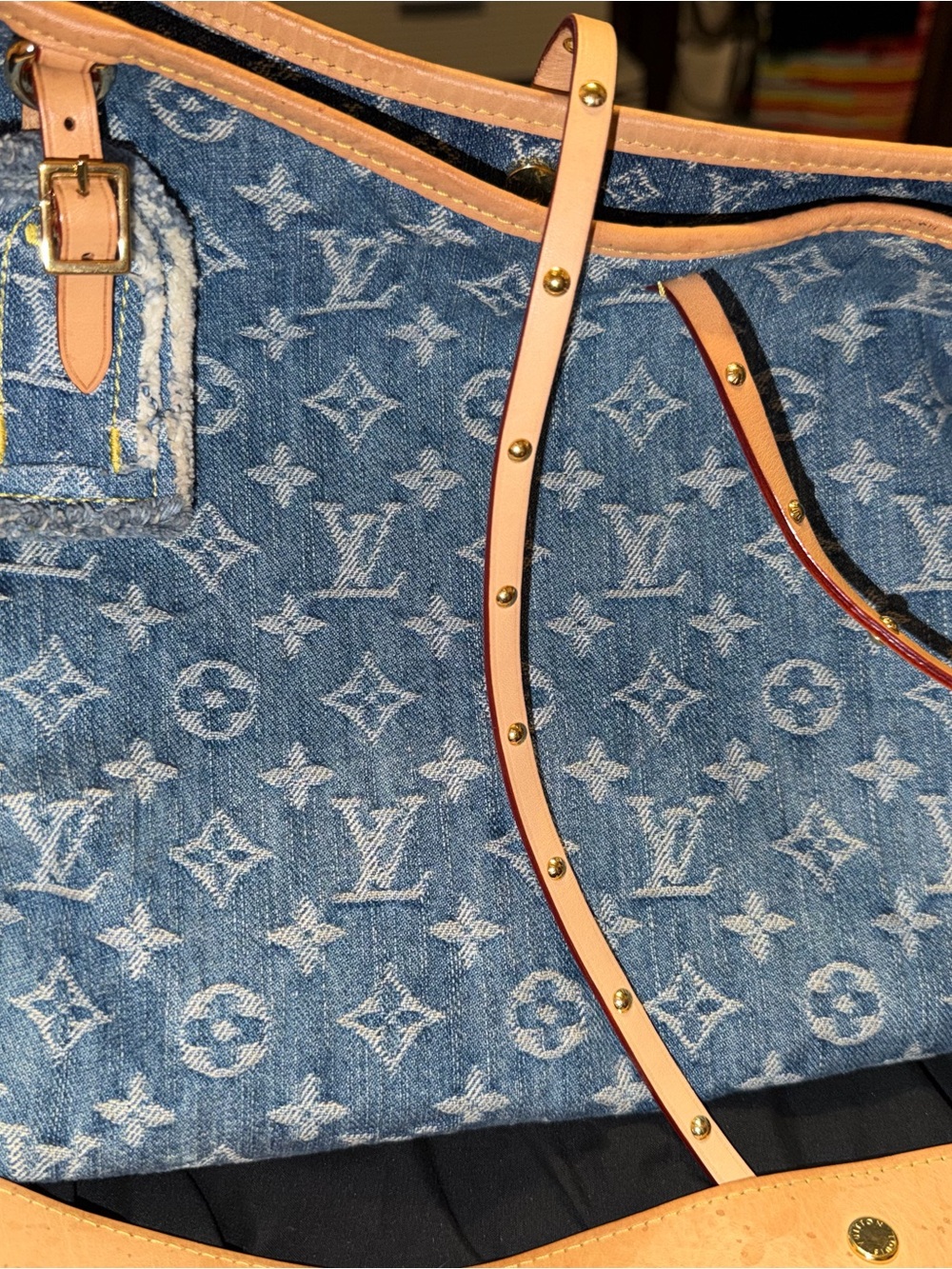 Louis Vuitton Denim Carryall